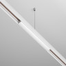 Блок питания встраиваемый MAYTONI EXILITY TRX034DR4-100W 48В 100Вт белый