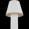 Ландшафтный светильник MAYTONI HARZ O421FL-L5W