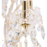 Люстра MAYTONI DORIS DIA881-PL-24-G