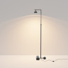 Напольный светильник (торшер) MAYTONI PIKANT MOD372FL-L10B3K