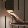Настенный светильник (бра) MAYTONI FOCUS DESIGN C069WL-02B