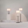 Настольный светильник MAYTONI MUSE MOD304TL-01GR