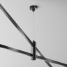 Подвес тросовый MAYTONI HANG FLARITY TRA157SW-D1-B двойной черный