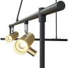 Подвесная люстра MAYTONI TECHNICAL RAMI золото