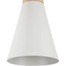 Подвесной светильник MAYTONI BICONES P359-PL-140-W