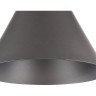 Подвесной светильник MAYTONI BICONES P359-PL-220-C