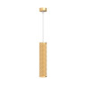 Подвесной светильник MAYTONI FOCUS DESIGN P038PL-01G