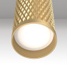 Подвесной светильник MAYTONI FOCUS DESIGN P038PL-01G