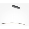 Подвесной светильник MAYTONI LIGHT REFLECTION MOD243PL-L18BK