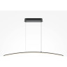 Подвесной светильник MAYTONI LIGHT REFLECTION MOD243PL-L18BK