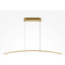 Подвесной светильник MAYTONI LIGHT REFLECTION MOD243PL-L18BSK