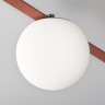 Подвесной светильник MAYTONI LUNA PARITY TR125B-10W4K-B