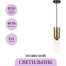 Подвесной светильник MAYTONI MEMORY MOD177PL-01G