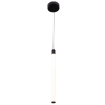 Подвесной светильник MAYTONI RAY P021PL-L10B