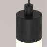 Подвесной светильник MAYTONI RAY P022PL-L10B