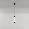 Подвесной светильник MAYTONI RAY P022PL-L10B