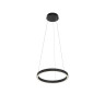 Подвесной светильник MAYTONI RIM MOD058PL-L22BK