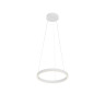Подвесной светильник MAYTONI RIM MOD058PL-L22WK