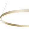 Подвесной светильник MAYTONI RIM MOD058PL-L42BSK