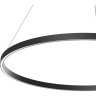 Подвесной светильник MAYTONI RIM MOD058PL-L54BK