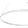 Подвесной светильник MAYTONI RIM MOD058PL-L54W4K