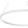 Подвесной светильник MAYTONI RIM MOD058PL-L54WK