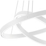 Подвесной светильник MAYTONI RIM MOD058PL-L55W4K