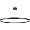 Подвесной светильник MAYTONI RIM MOD058PL-L65BK