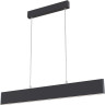Подвесной светильник MAYTONI STEP P010PL-L23B4K