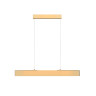 Подвесной светильник MAYTONI STEP P010PL-L23G3K