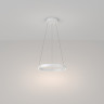 Подвесной светодиодный светильник MAYTONI RIM MOD058PL-L22W4K