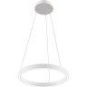 Подвесной светодиодный светильник MAYTONI RIM MOD058PL-L22W4K