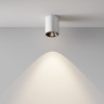 Потолочный светильник MAYTONI ALFA LED C064CL-8W4K-RD-WB