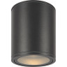 Потолочный светильник MAYTONI BAR O306CL-L12GF