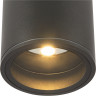 Потолочный светильник MAYTONI BAR O306CL-L7GF