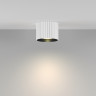 Потолочный светильник MAYTONI CALIPSO C106CL-GX53-W