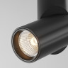 Потолочный светильник MAYTONI DAFNE C027CL-L10B