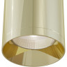 Потолочный светильник MAYTONI FOCUS C010CL-01G