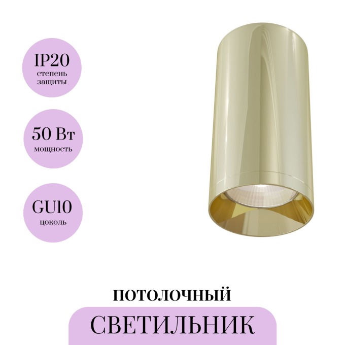 Потолочный светильник MAYTONI FOCUS C010CL-01G