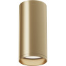 Потолочный светильник MAYTONI FOCUS C010CL-01MG