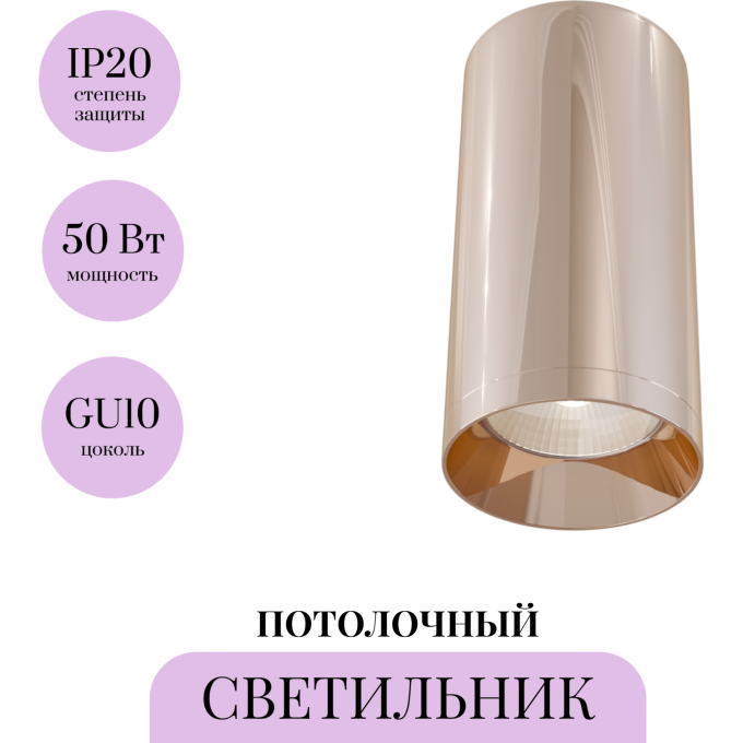 Потолочный светильник MAYTONI FOCUS C010CL-01RG