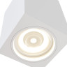 Потолочный светильник MAYTONI FOCUS C011CL-01W
