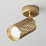 Потолочный светильник MAYTONI FOCUS DESIGN C034CL-01G