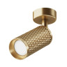 Потолочный светильник MAYTONI FOCUS DESIGN C034CL-01G