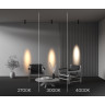 Потолочный светильник MAYTONI FOCUS LED C055CL-L12W3K-SS-B
