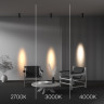 Потолочный светильник MAYTONI FOCUS LED C055CL-L12W4K-SS-B
