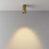 Потолочный светильник MAYTONI FOCUS LED C056CL-L12W2.7K-W-BS
