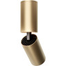 Потолочный светильник MAYTONI FOCUS S C051CL-01G