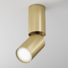 Потолочный светильник MAYTONI FOCUS S C051CL-01G