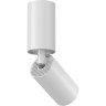 Потолочный светитель MAYTONI FOCUS S C051CL-01W